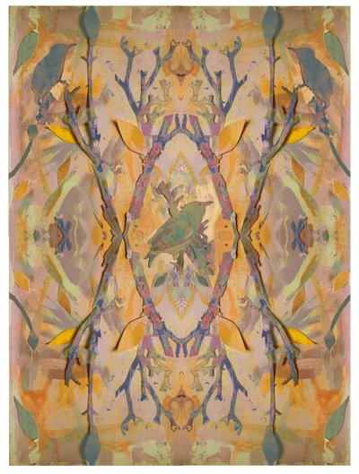 Spreeuwen, 2016 door David McConochie