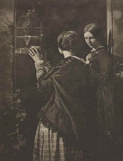 Camera Werk: De Vogelkooi, 1909 door David Octavius Hill