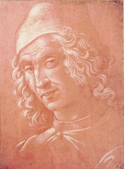 Hoofd van een man (zilverstift op papier) door Davide Ghirlandaio