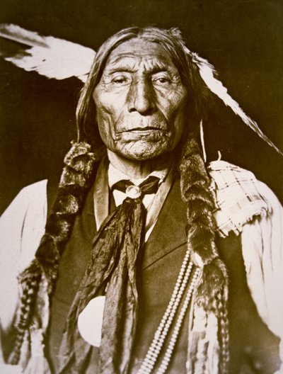 Wolf Robe (geb.1841) 1909 door DeLancey W. Gill