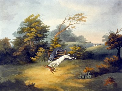Coursing, plaat 4, gegraveerd door R.G. Reeve door Dean Snr. (after) Wolstenholme