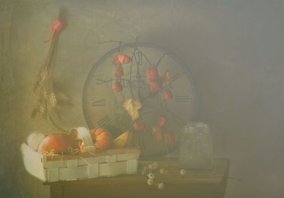  door Delphine Devos
