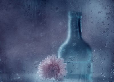 Dromerige Gerbera in de regen door Delphine Devos