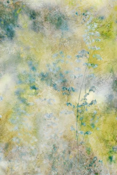 Dromerige bloemen in aquarel door Delphine Devos