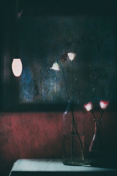  door Delphine Devos