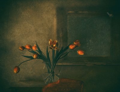  door Delphine Devos