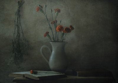 door Delphine Devos