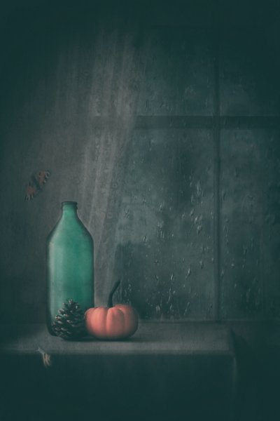  door Delphine Devos
