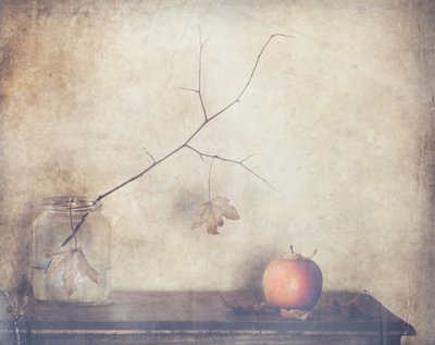  door Delphine Devos