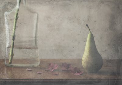  door Delphine Devos