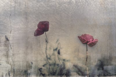  door Desislava Ignatova