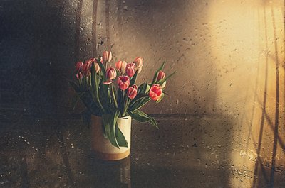  door Desislava Ignatova