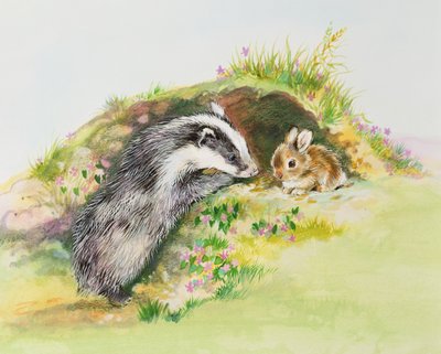 Das en een Konijn door Diane Matthes
