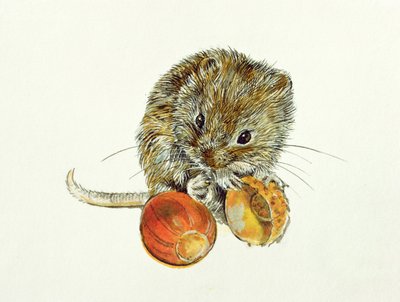 Woelmuis met een Eikel door Diane Matthes