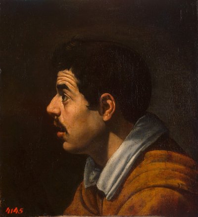Hoofd van een man in profiel door Diego Velázquez