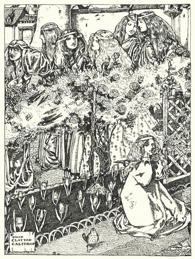 De Zeven Prinsessen door Dion Clayton Calthrop