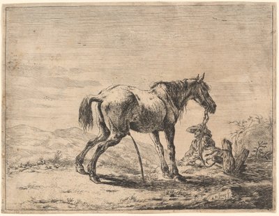 Steigerend paard bij een stal door Dirck Stoop
