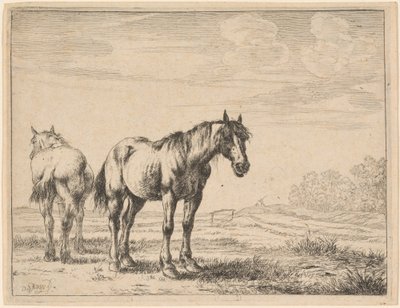 Twee Ploegpaarden in een Veld door Dirck Stoop