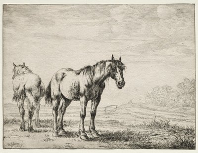Twee ploegpaarden door Dirck Stoop