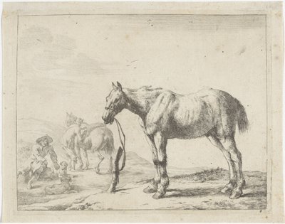 Aan een paal gebonden paard naar links door Dirk Stoop