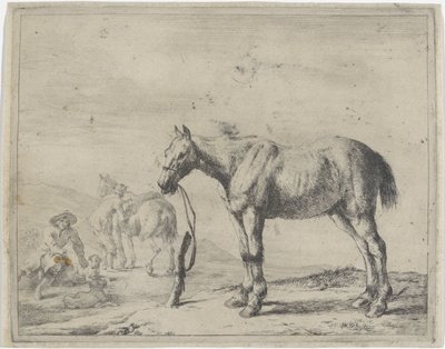 Aan een paal gebonden paard naar links door Dirk Stoop
