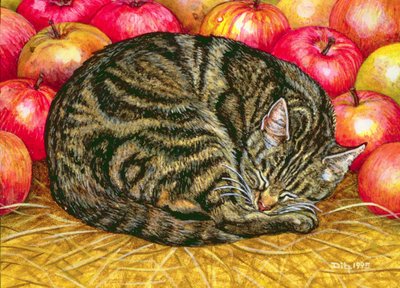 Linkerhand Appel-Kat, 1995 door Ditz