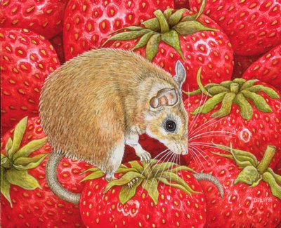 Aardbei-Muis, 1995 door Ditz