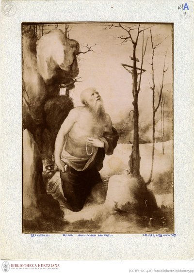 Beccafumi - Boetvaardige Hiëronymus, inventarisnr. 166 door Domenico Beccafumi