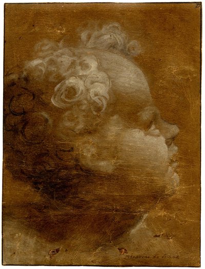 Beccafumi - Hoofd van een kind dat omhoog kijkt, in profiel naar rechts Penseeltekening in grijsbruine en witte olieverf, op bruin geprepareerd papier, met lijnen ingesprongen, 1528 (circa) door Domenico Beccafumi