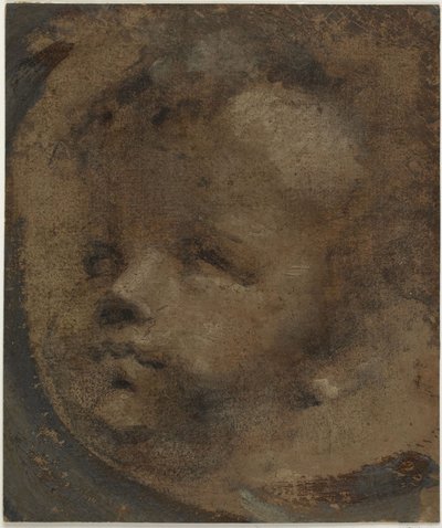 Hoofd van een putto door Domenico Beccafumi