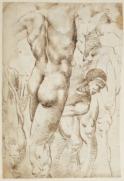 Studies van benen en mannelijke naakten door Domenico Beccafumi
