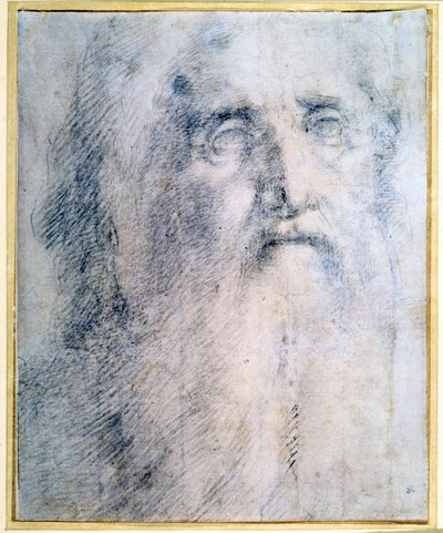 Studie van het hoofd van een oude man met een baard, c1535 door Domenico Beccafumi