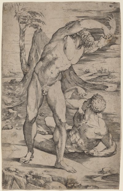 Twee mannelijke naakten gebarend in een landschap door Domenico Beccafumi