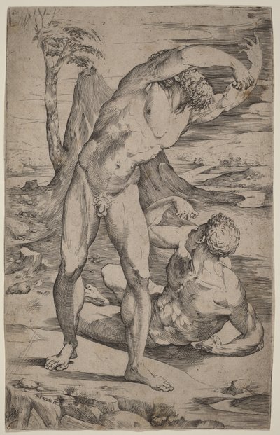 Twee mannelijke naakten die gebaren maken in een landschap door Domenico Beccafumi