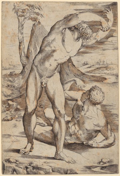 Twee naakte mannen in een landschap door Domenico Beccafumi
