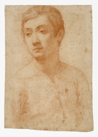 Het Hoofd van een Jongeling door Domenico Cresti