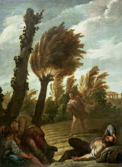 Parabel van de zaaier van onkruid, ca. 1620-21 door Domenico Fetti or Feti