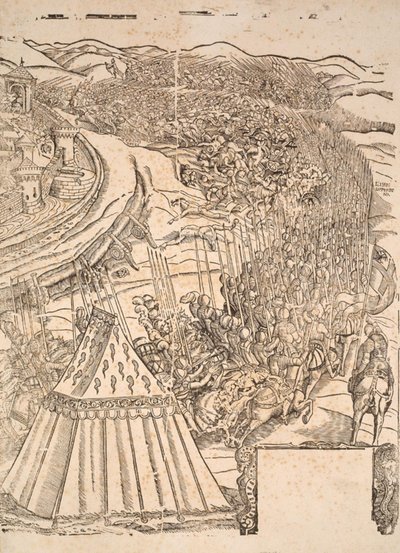 Inname van Goleta in Tunis door Karel V door Domenico dei Franceschi