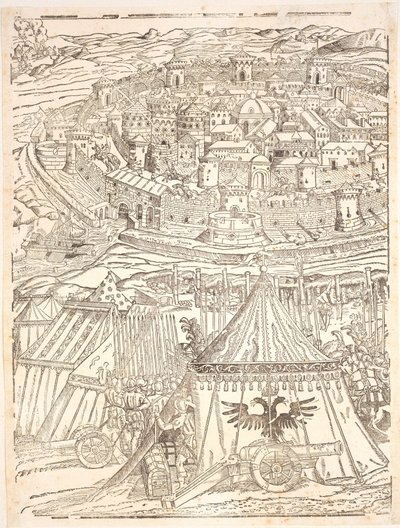 Inname van Goleta in Tunis door Karel V door Domenico dei Franceschi