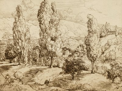 Velden van Asolo door Donald Shaw MacLaughlan