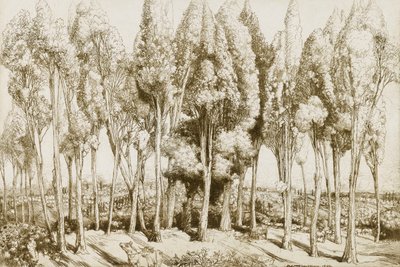 Road Song nr. 5 door Donald Shaw MacLaughlan