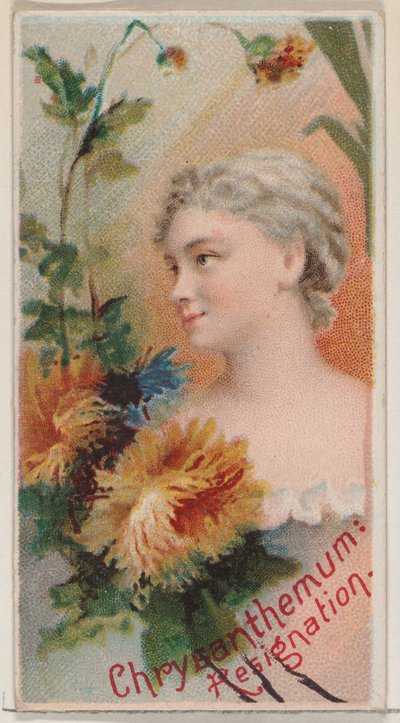 Chrysant: Berusting, uit de serie Floral Beauties and Language of Flowers N75, 1892 door Donaldson Brothers