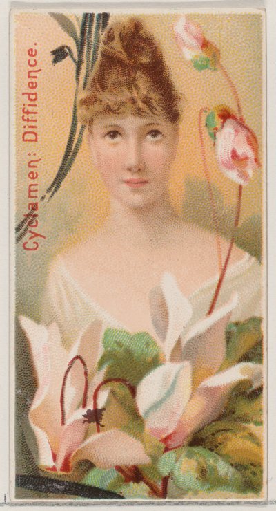 Cyclamen: Schuchterheid, uit de serie Bloemenschoonheden en Taal van Bloemen N75 voor Du..., 1892 door Donaldson Brothers