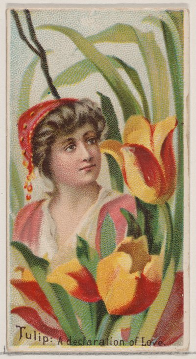 Tulp: Een Verklaring van Liefde, uit de serie Bloemenschoonheden en Taal van Bloemen N75 door Donaldson Brothers
