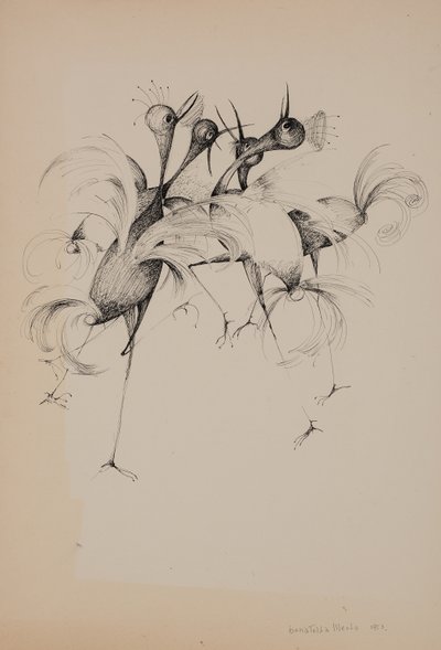 Vogels door Donatella Merlo