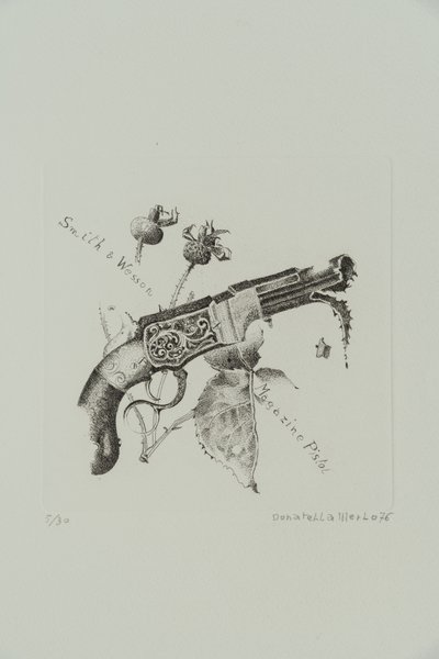 Smith en Wesson Tijdschriftpistool door Donatella Merlo