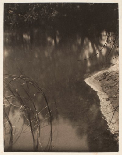 Studie van bomen weerspiegeld in water, ca. 1925-34 door Doris Ulmann