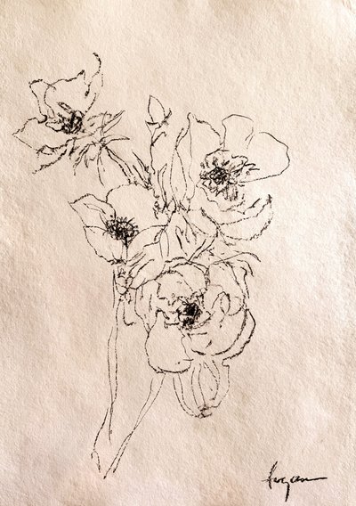 Verfijnde bloemenschets door Dorothy Fagan