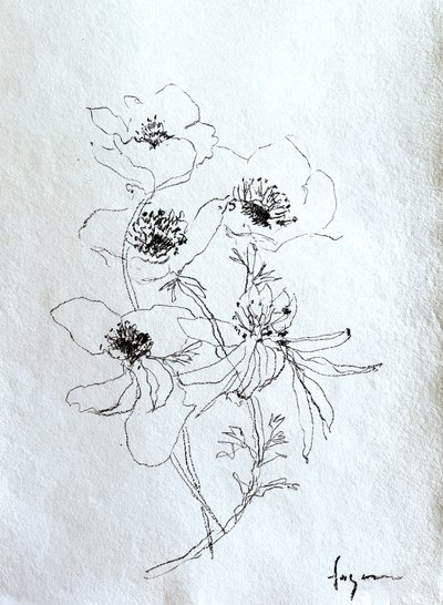 Verfijnde bloemenschets door Dorothy Fagan