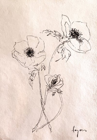 Minimalistische bloemtekening door Dorothy Fagan